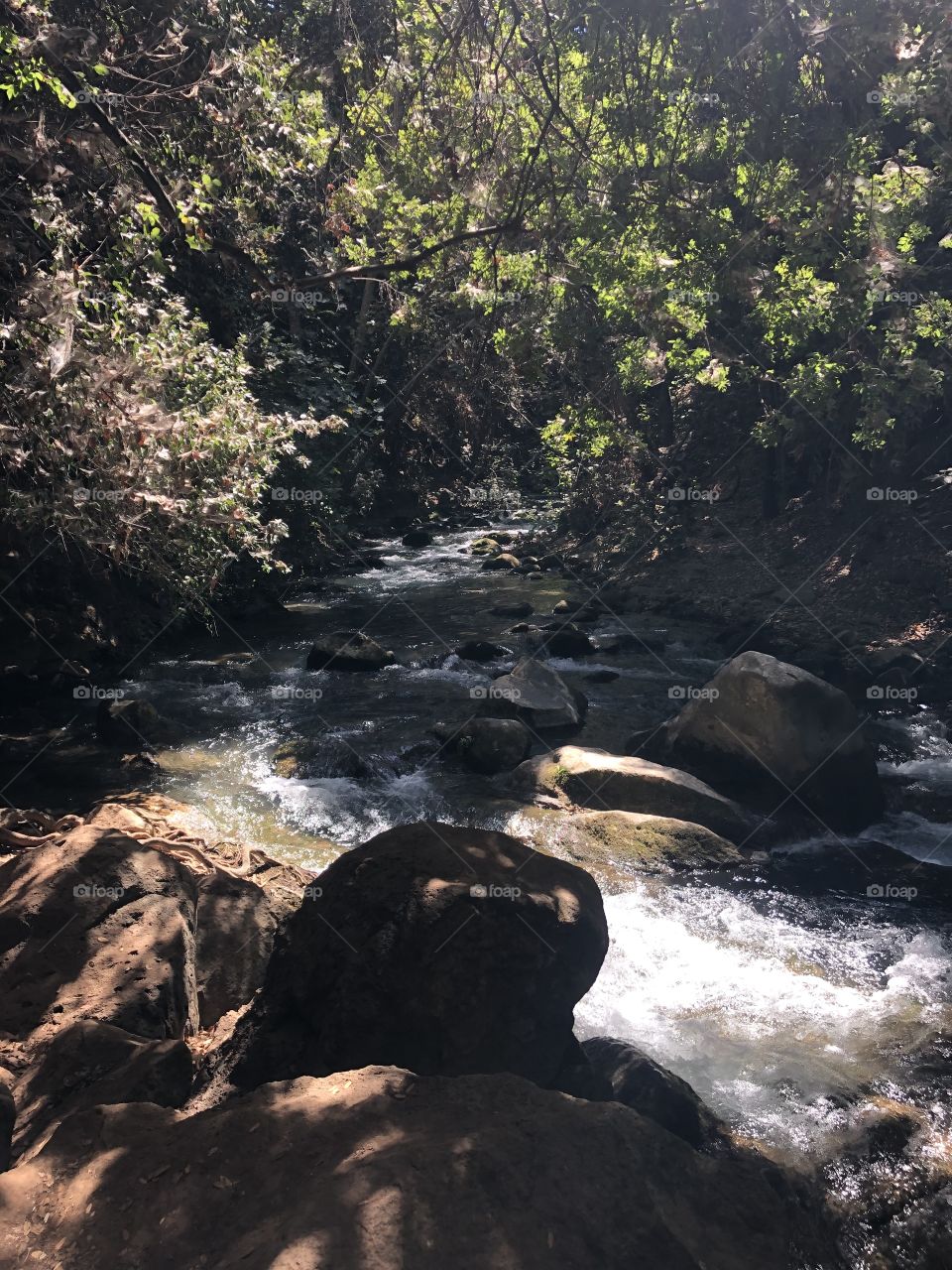 A clear river with lots of beautiful stones
