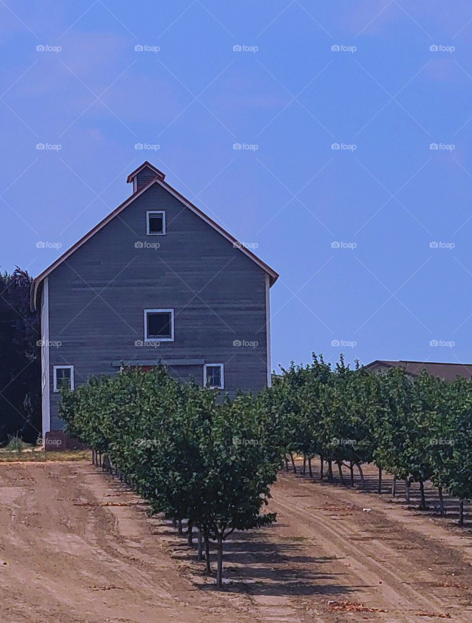 Hazy afternoon in Oregon Country