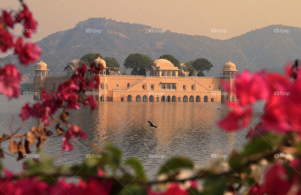 jal mahal (palace in water) in Jaipur, Rajasthan, India
