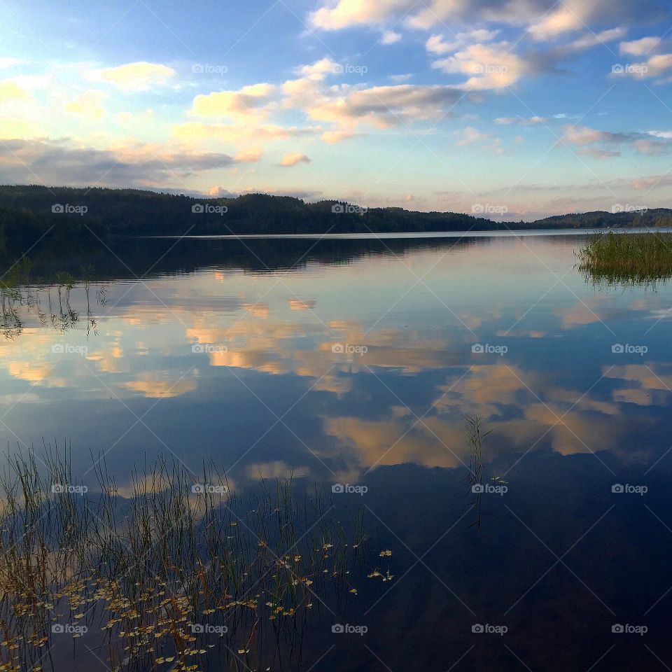 Sjön. Speglar i sjön