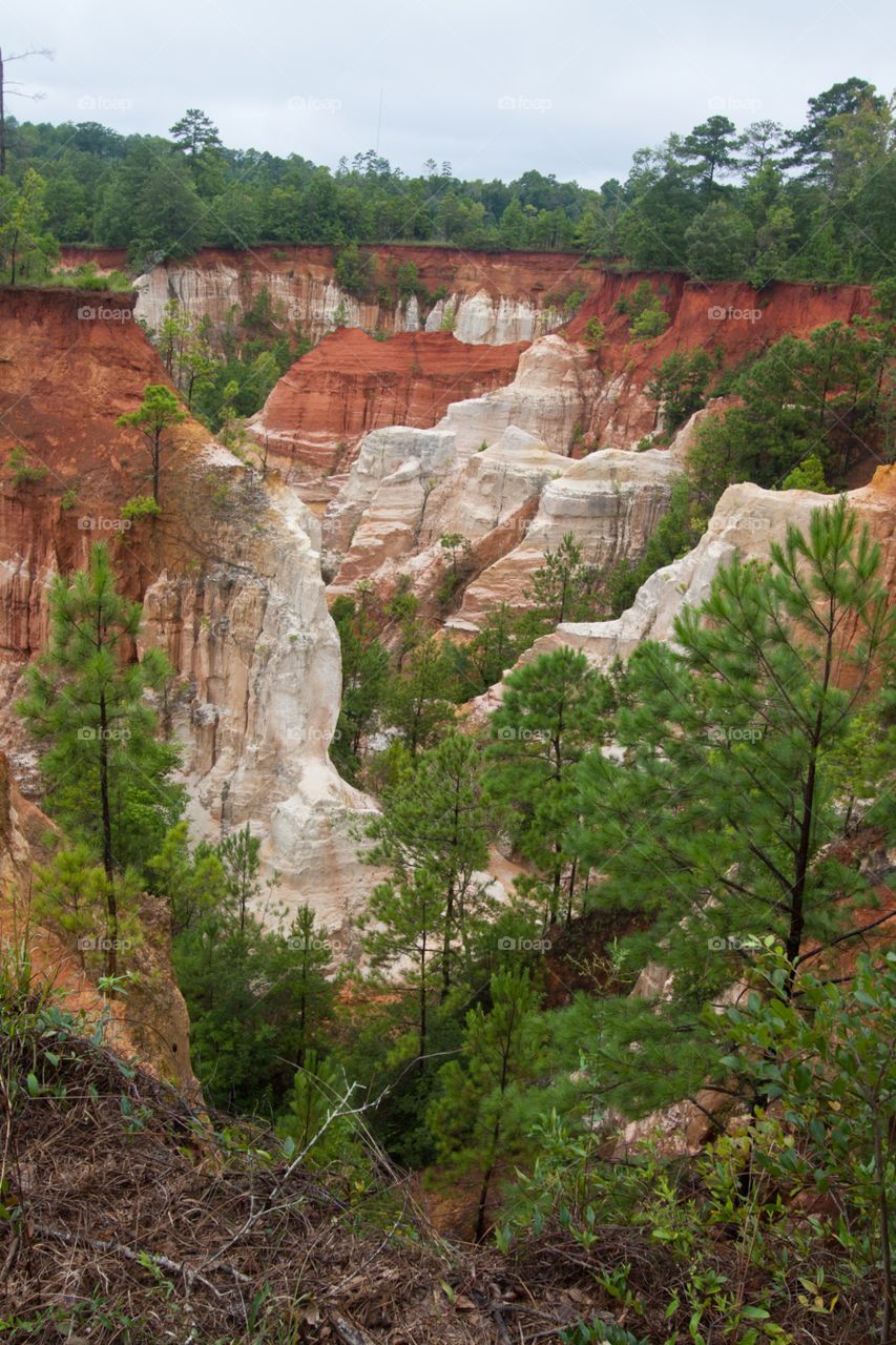 Providence Canyon