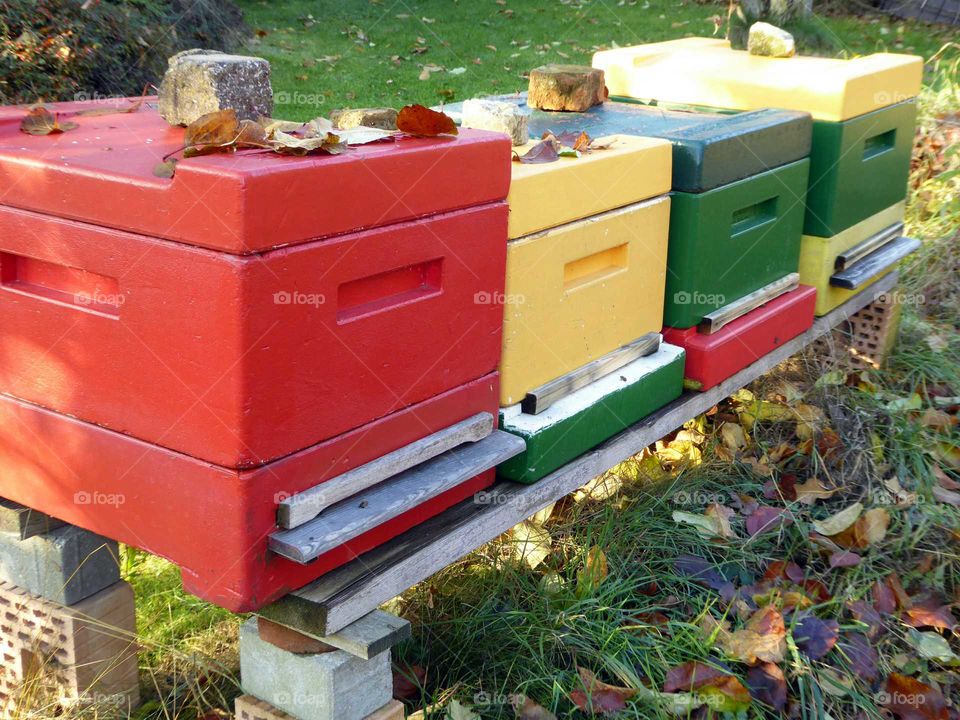 beehives in autumn