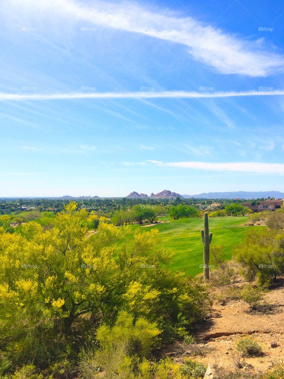 Arizona golf course 