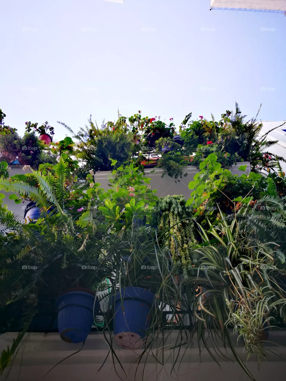 balcony