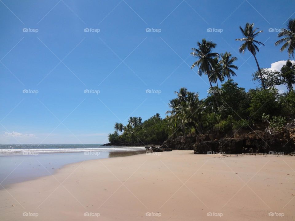 Desert tropical beach view during summer