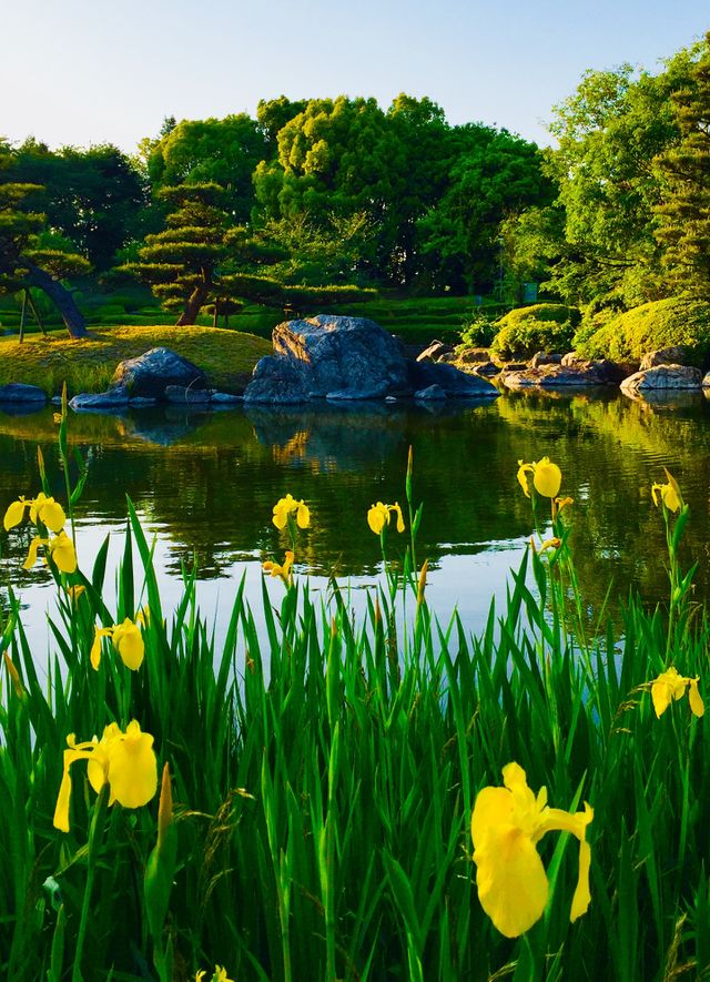 beautiful nature
