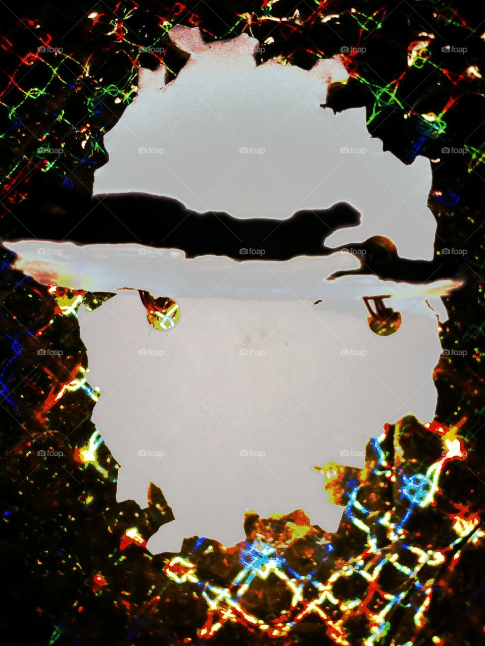 the face book of the country COMBODIA.
it's the first book entire the worldwide on it and no one like this in the world till now.
if you want earn money with it you should download it's first photograph at the first sight and keep it and share it.