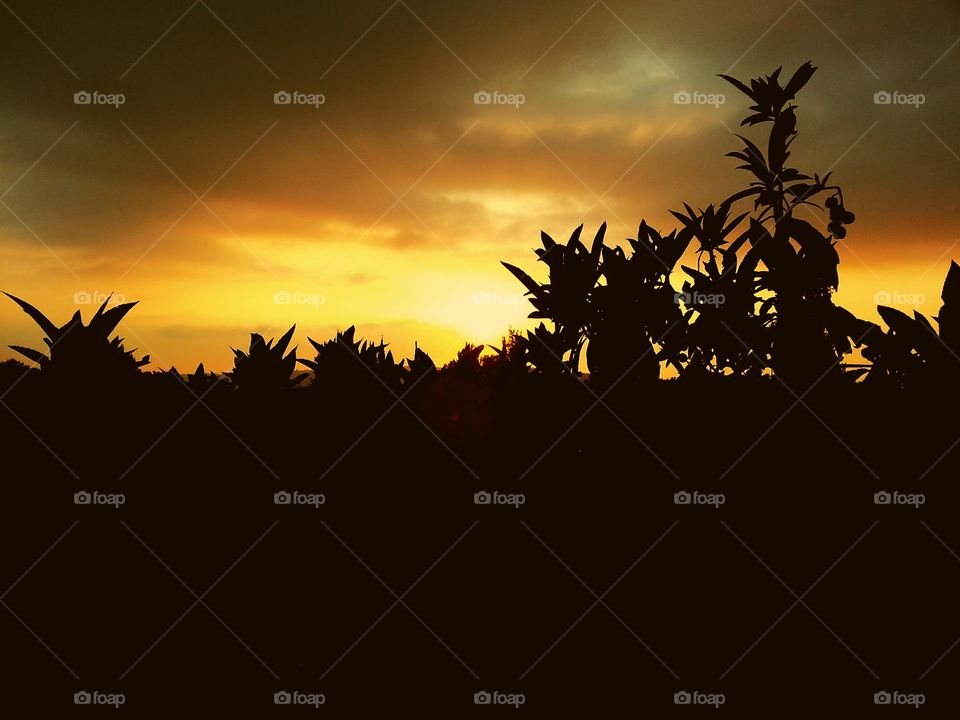 Hello
Please like my pictures and follow me
Thank you
Sunset color sky