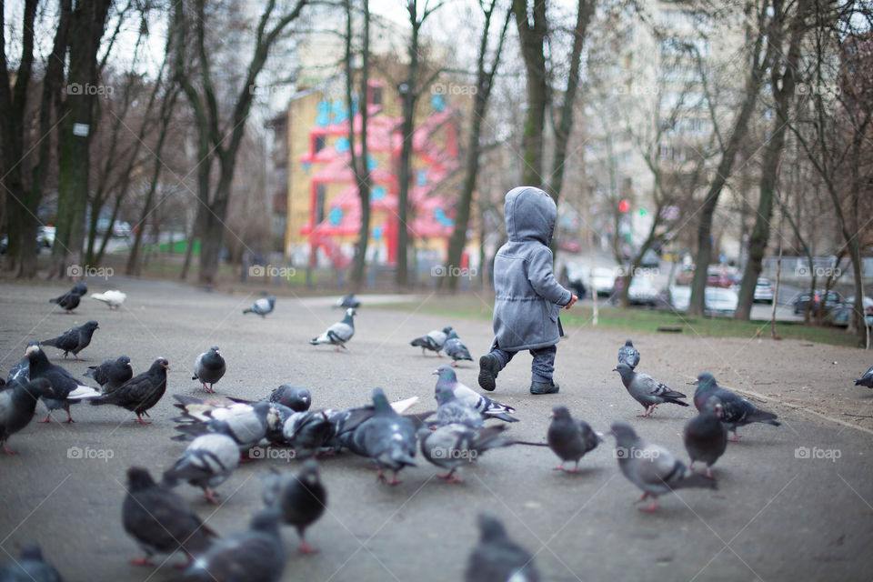 Pigeon, Child, Bird, Group, People