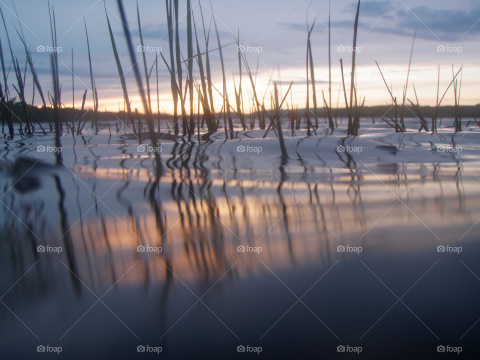 grass sunset water lake by lagacephotos