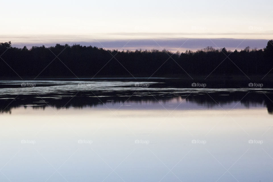 Forest reflections in lake -sunset 