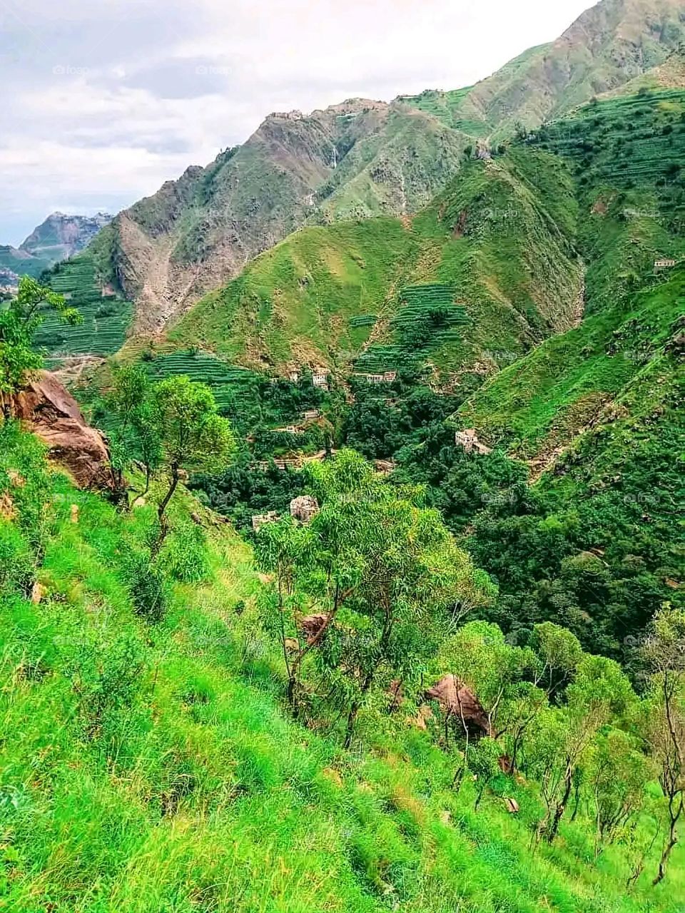 Glory be to God, the magnificent and picturesque view and the natural green trees are a view that is nothing more wonderful than it