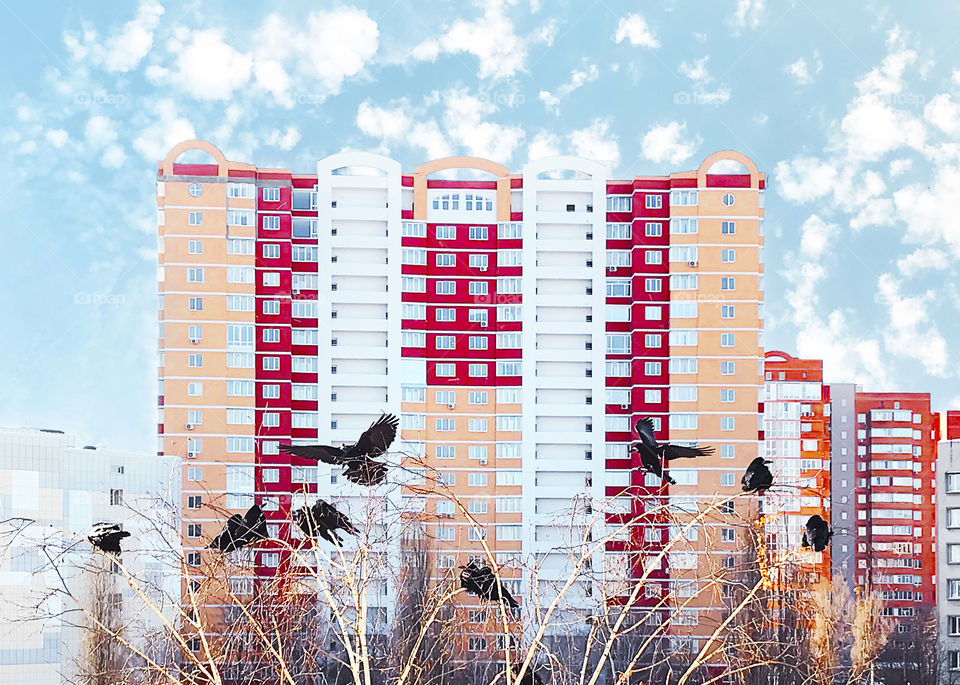 Birds flying over the trees in front of colorful modern building in the city 