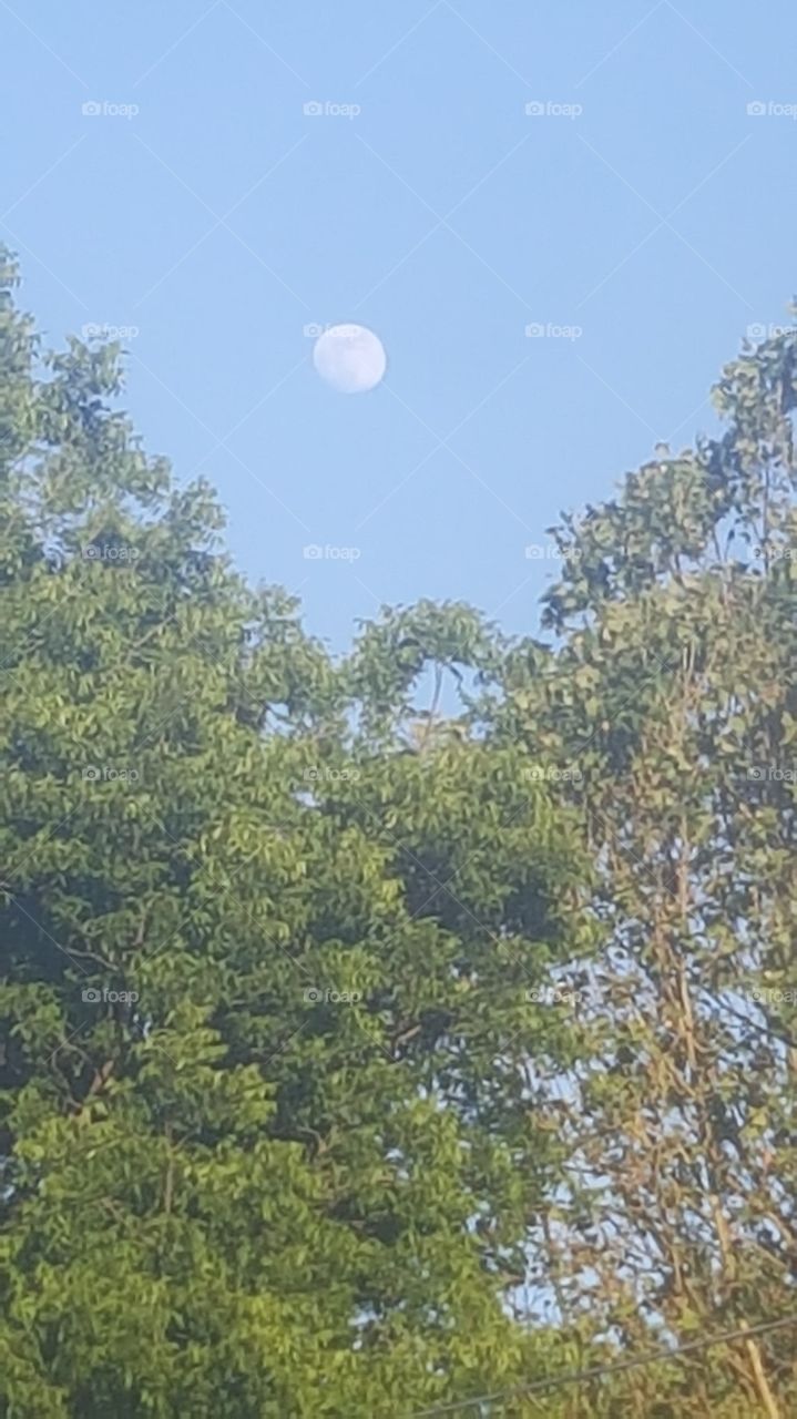 a day time moon.