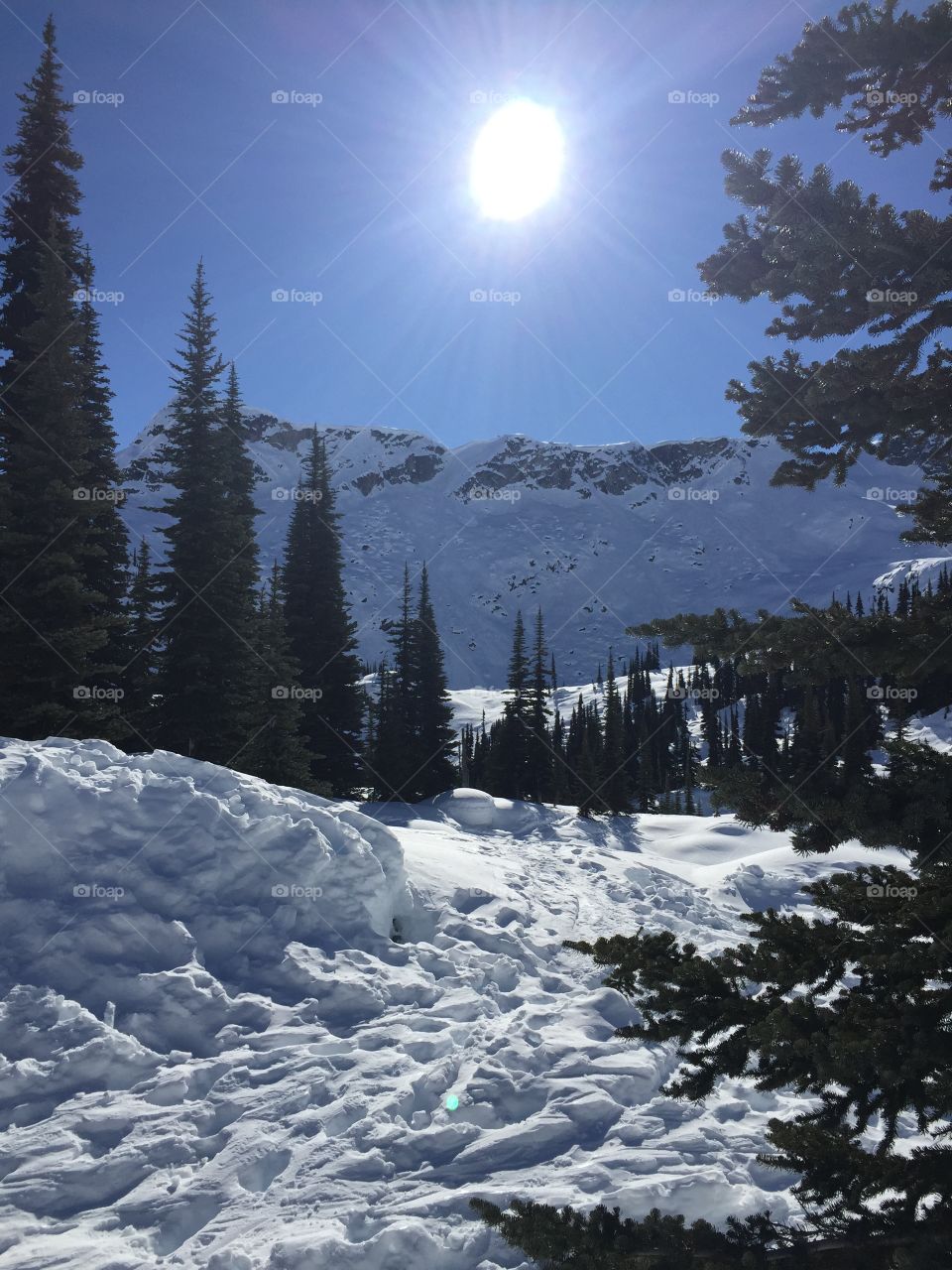 Winter in the mountains