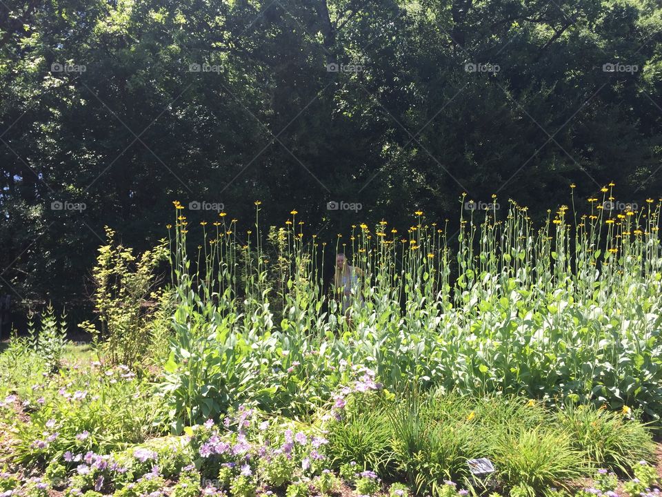 Up to my elbows in green...