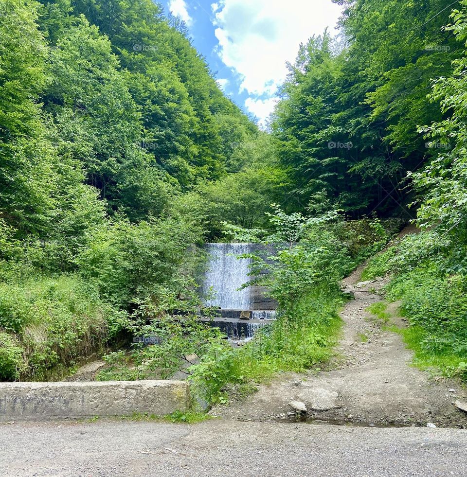 Power of the green color 