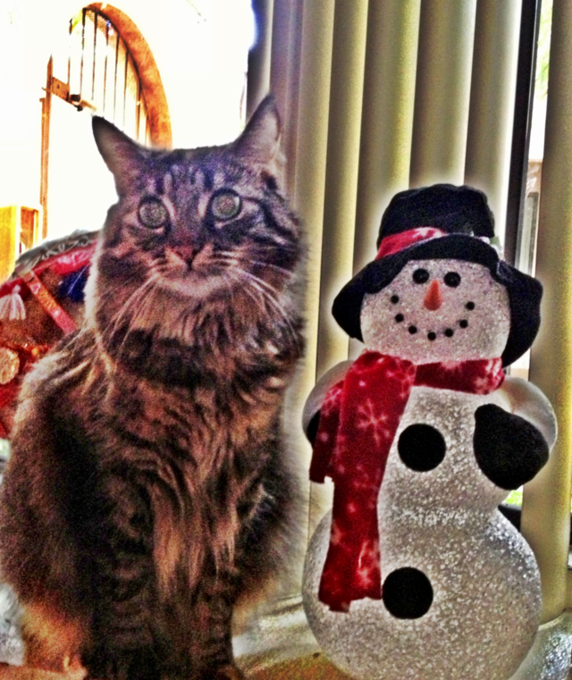 Snowmen world 