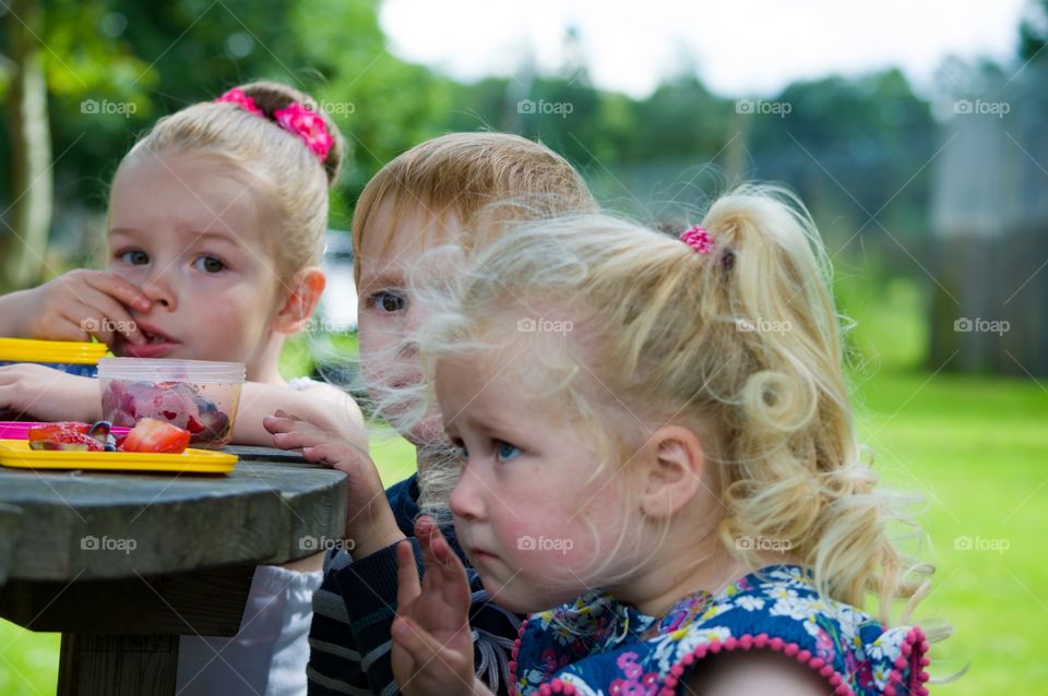 Picnic in the park