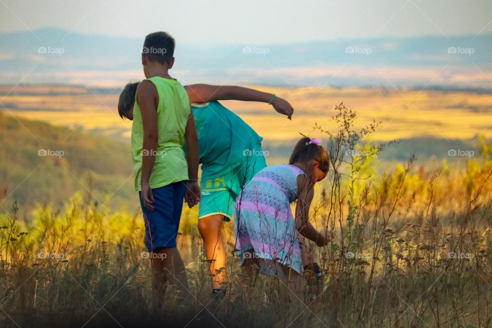 Children at the meadow