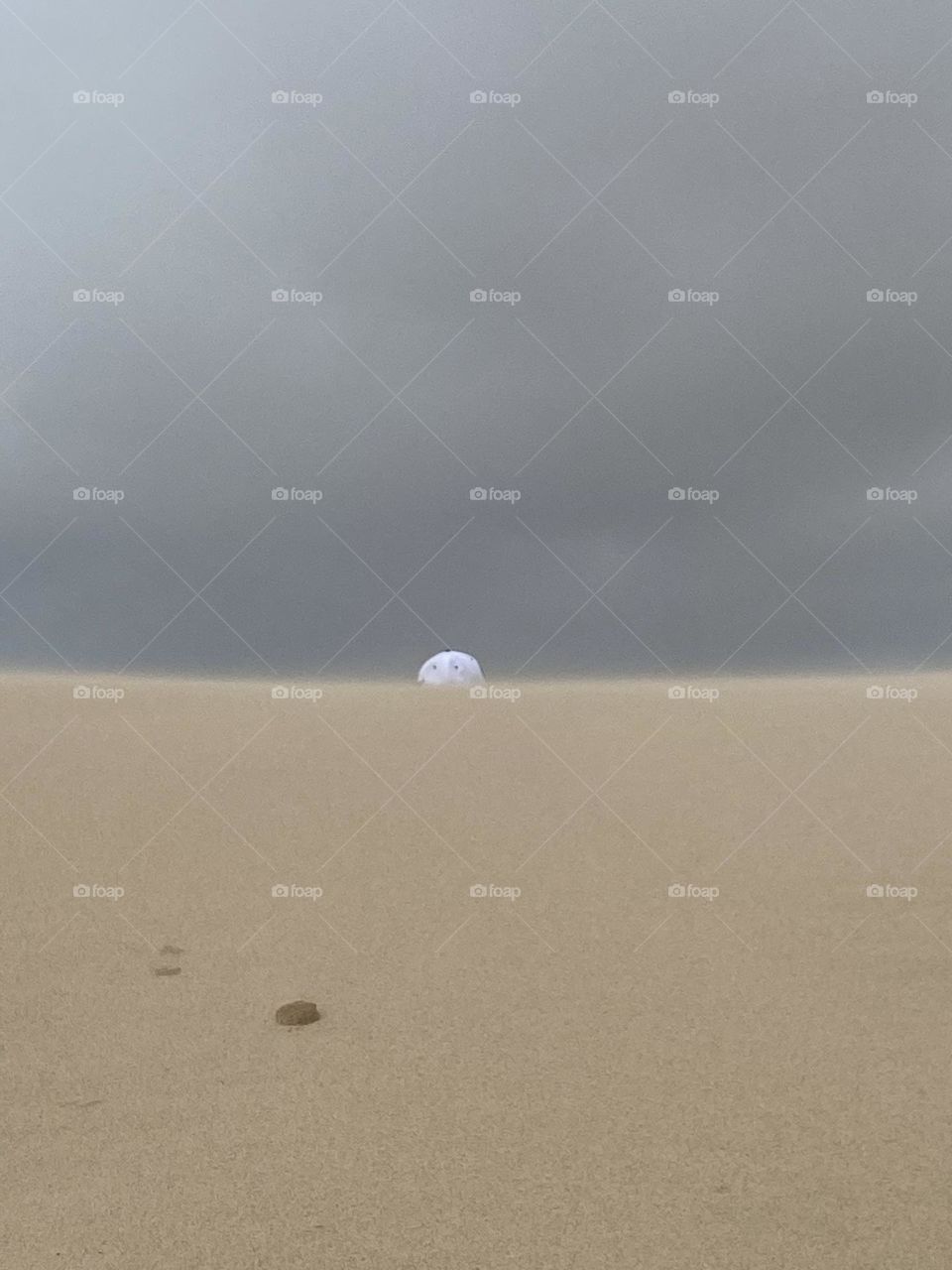 A stormy and cloudy summer day at the sand dunes. Sand blows around a white baseball hat. 