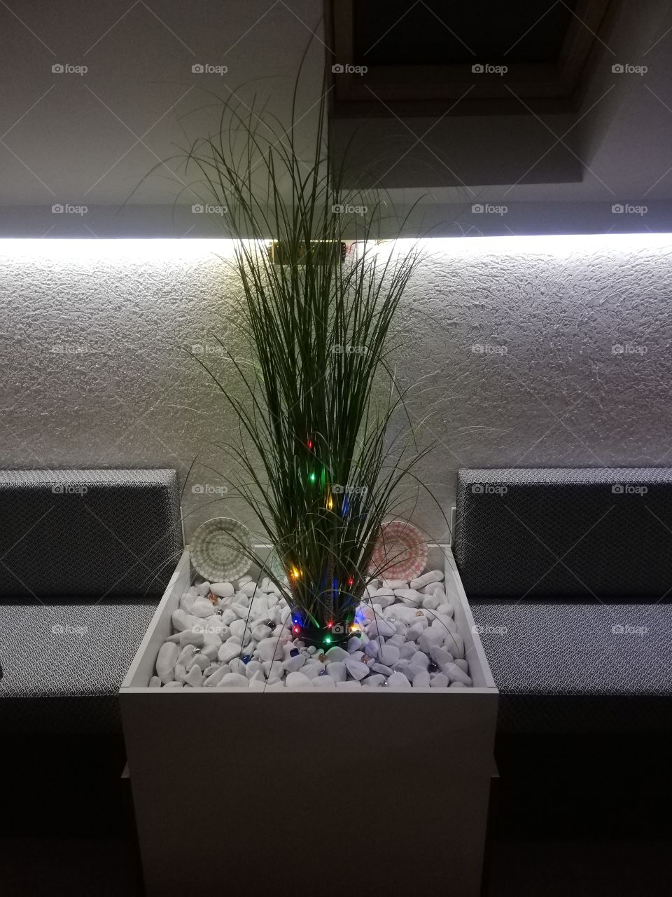 Restaurant plant decor