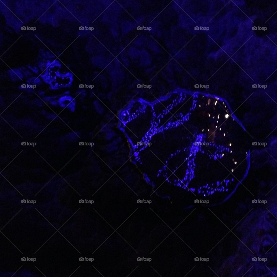 Lights reflections in December 