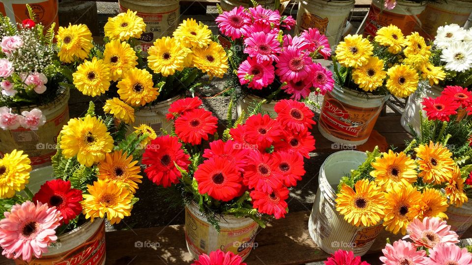 flowers in Copacabana fair