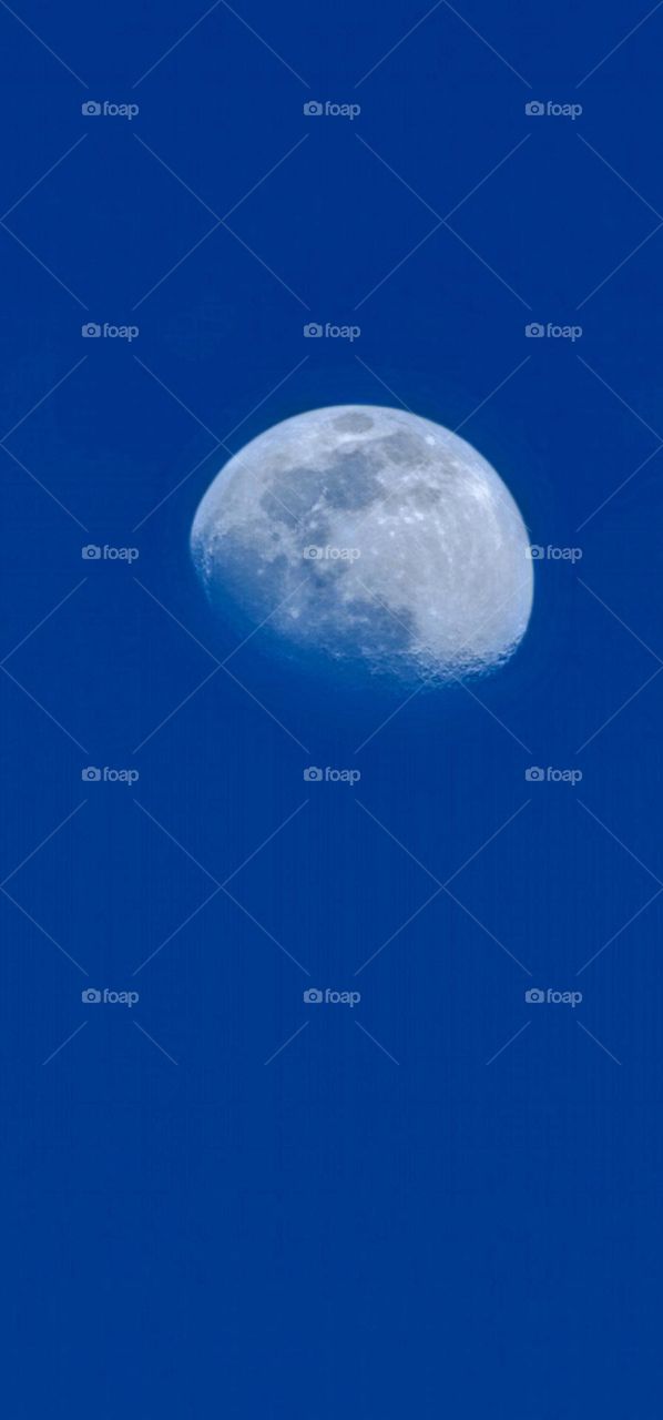 Afternoon Moon 2 * Luna en la tarde 2