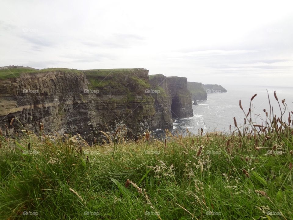 Grass and cliffs