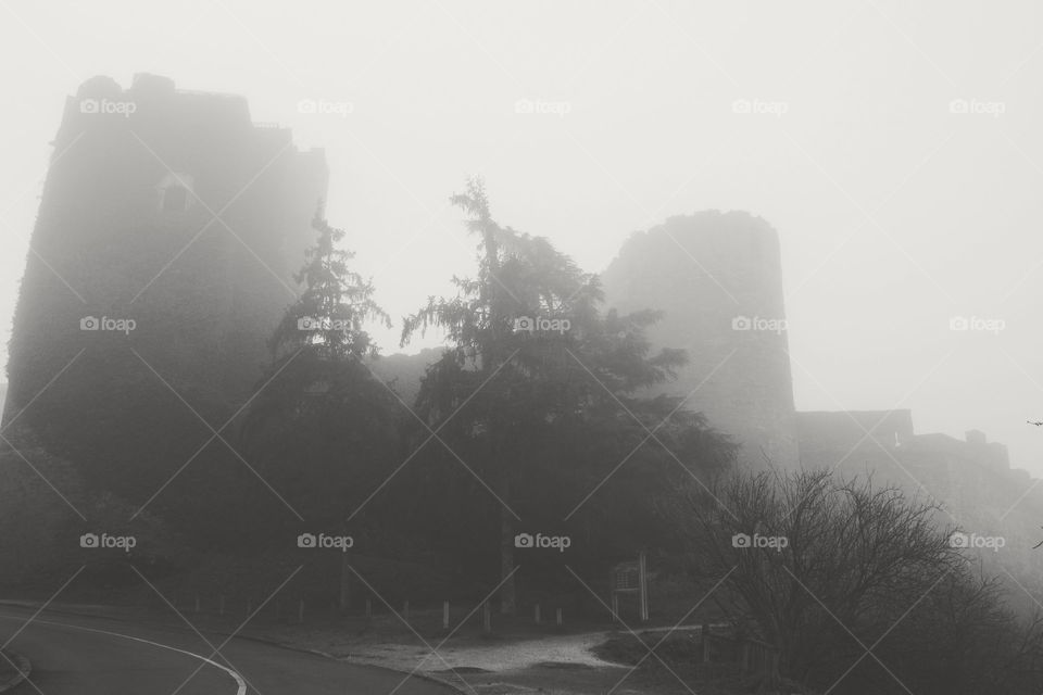 Castle of Mist