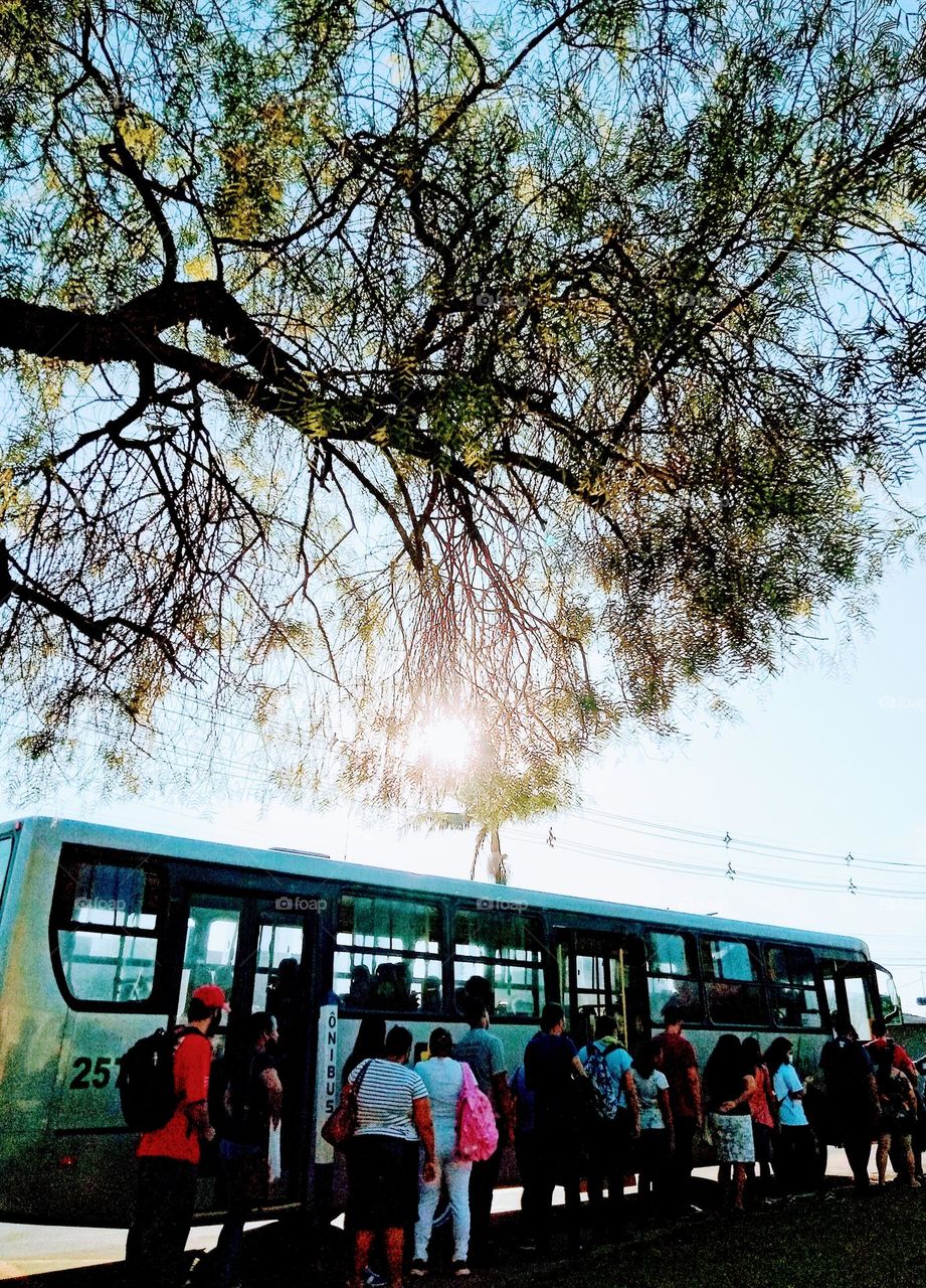 Editors'Choice Photo of the week  Manhã de Sol acesso