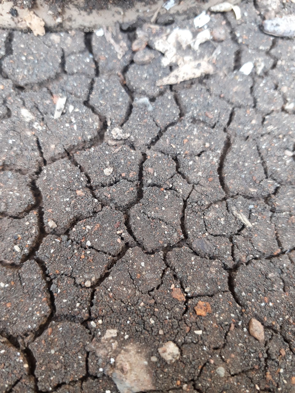 Ground, Drought, Earth Surface, Rough, Arid