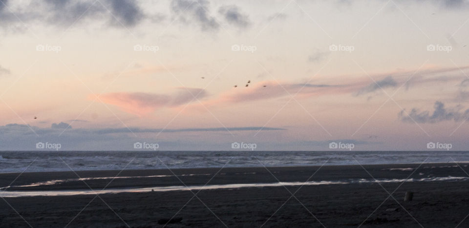 Birds fly home to roost during a summer sunset on City Beach in Ocean Shores along the Washinton State coast.