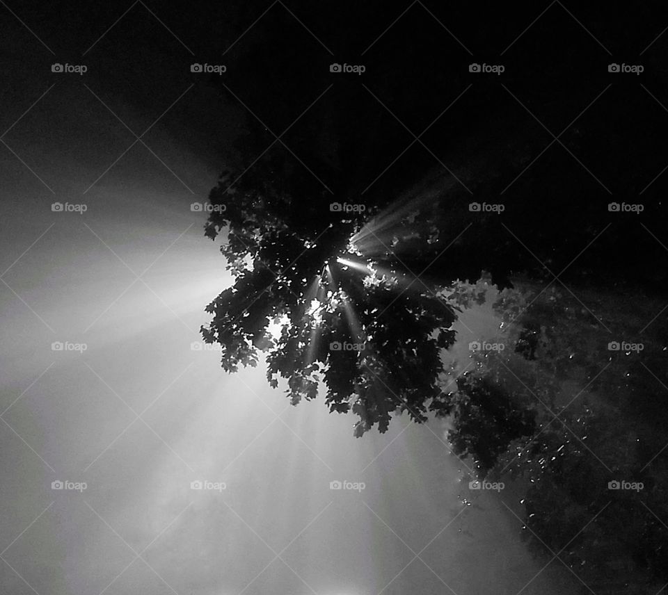 Light effect in the foggy night