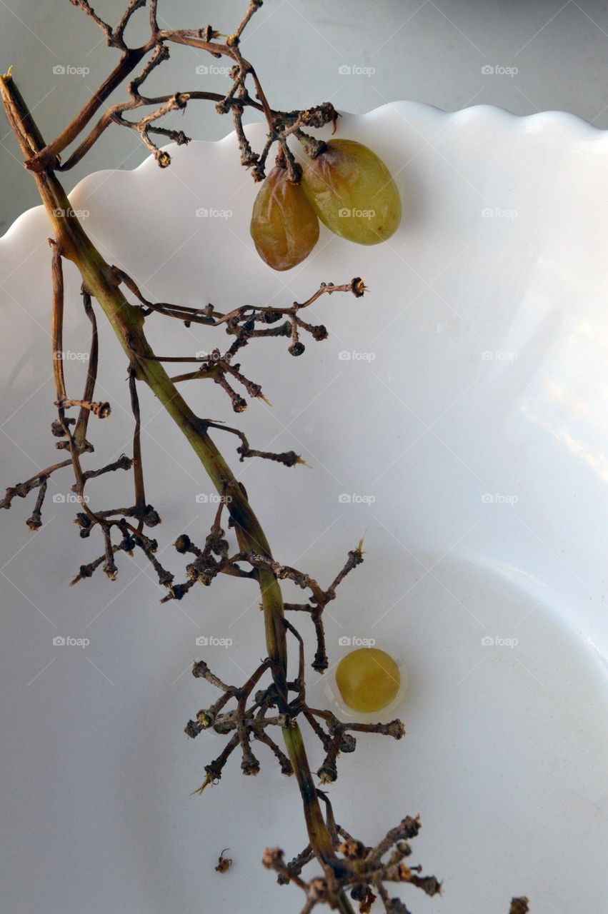 Several ripe berries of green grapes on a branch in a plate