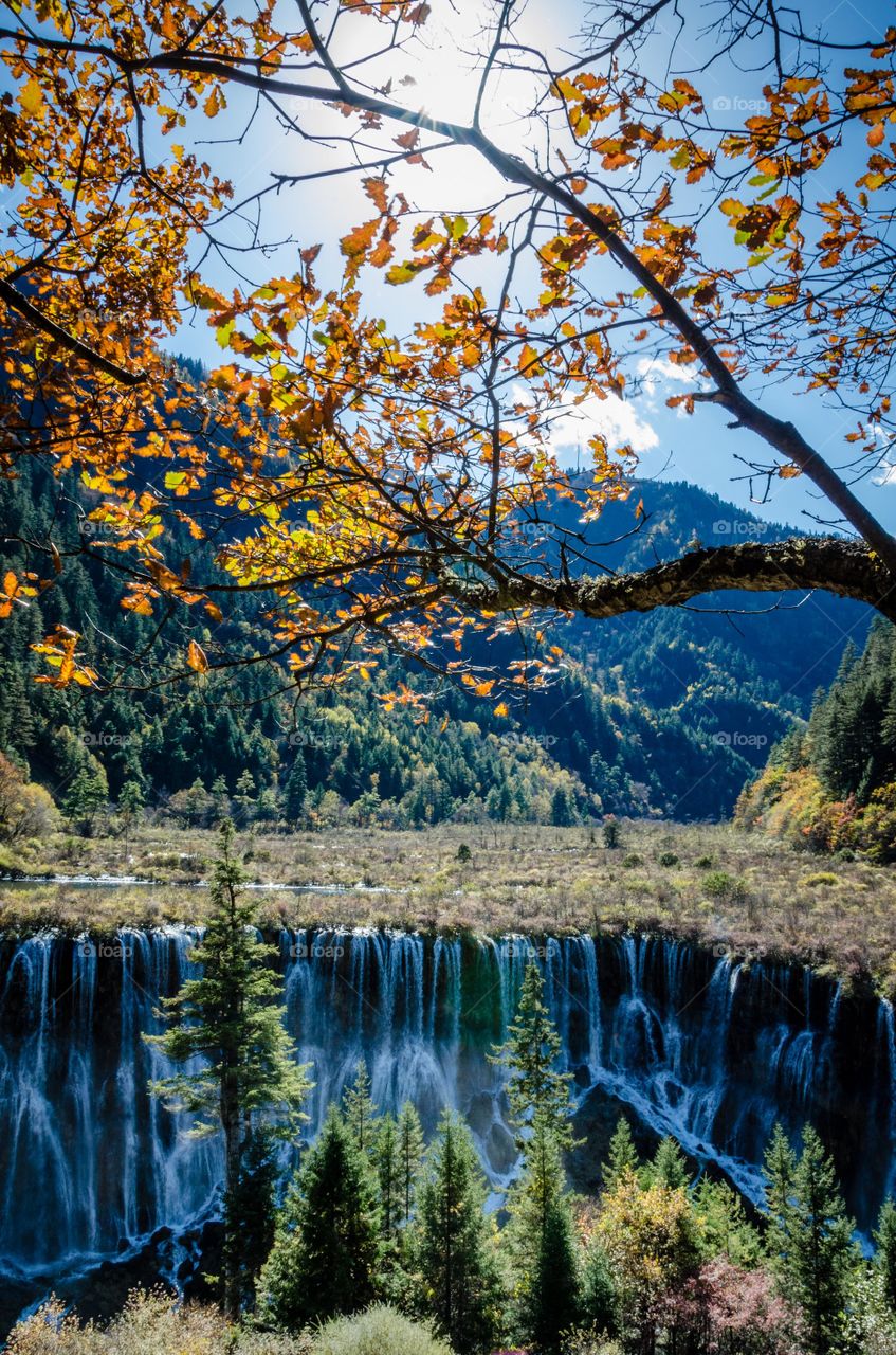 Jiuzhaigou nature reserve, sichuan, china
