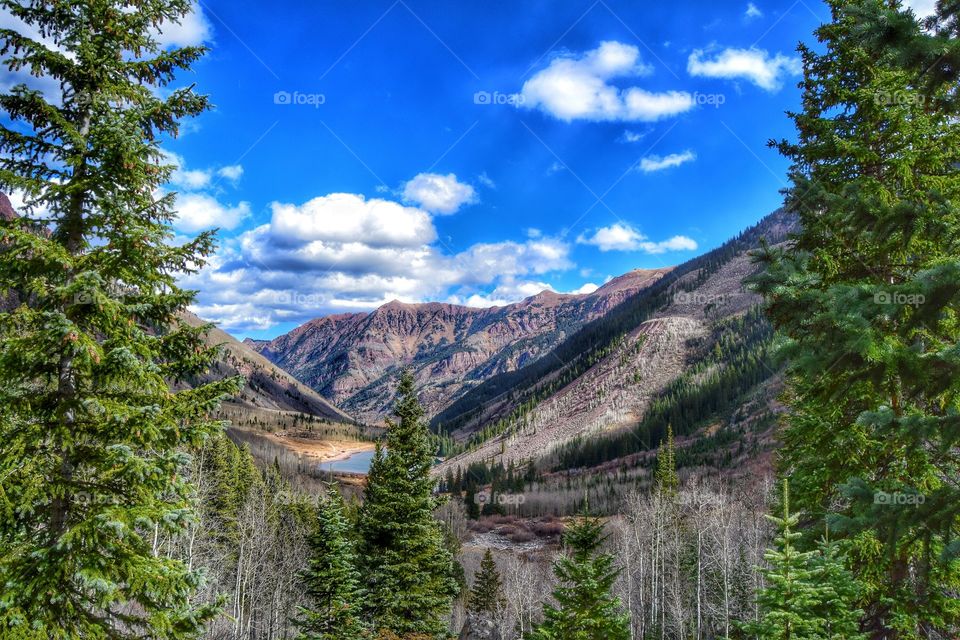 Scenic view of nature