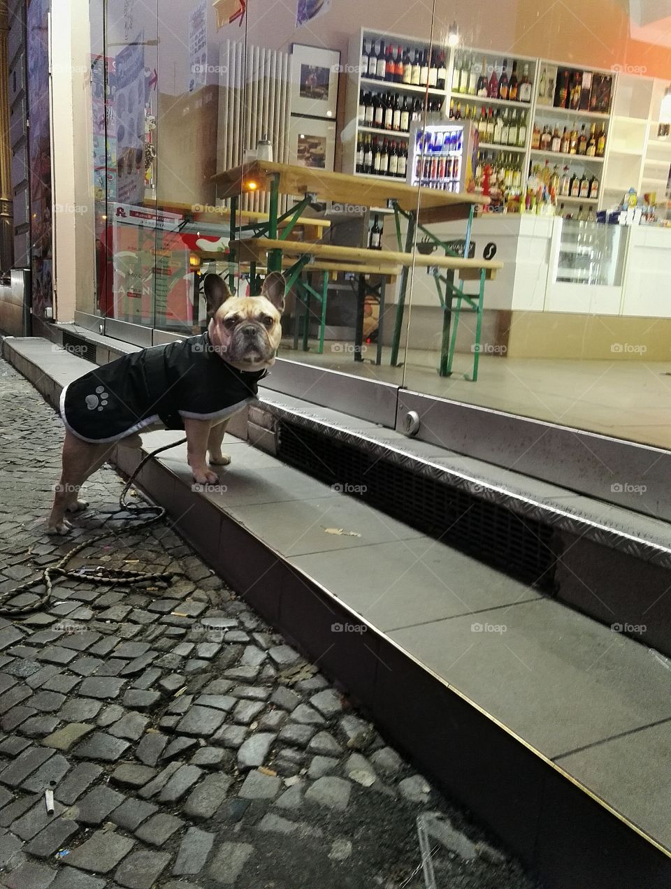 Waiting for his friend in the wine store/bakery, Berlin. 
They will celebrate this Sunday night with a cake and some sparkle
