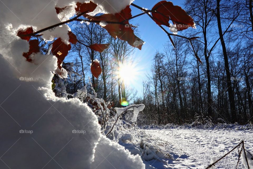 Schnee & Sonne
