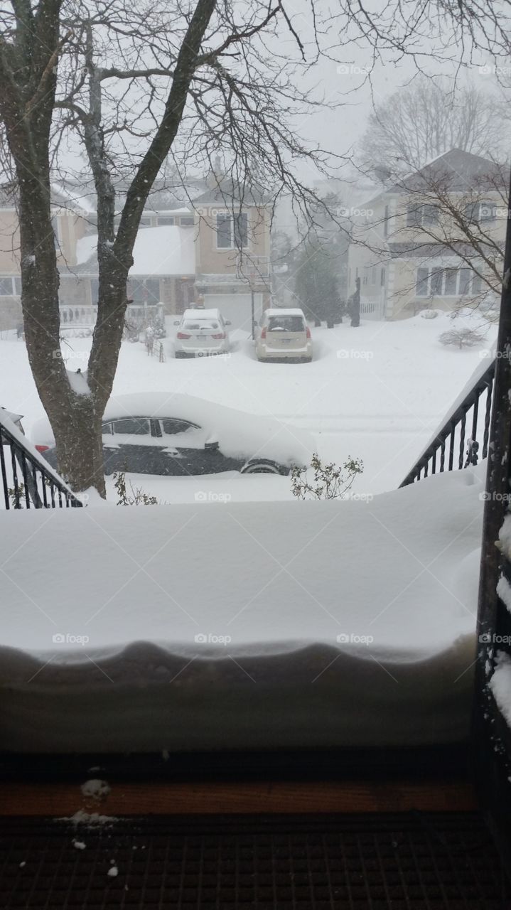 Snow storm in ny