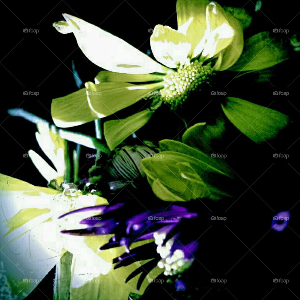 elegance in motion. lighting effects