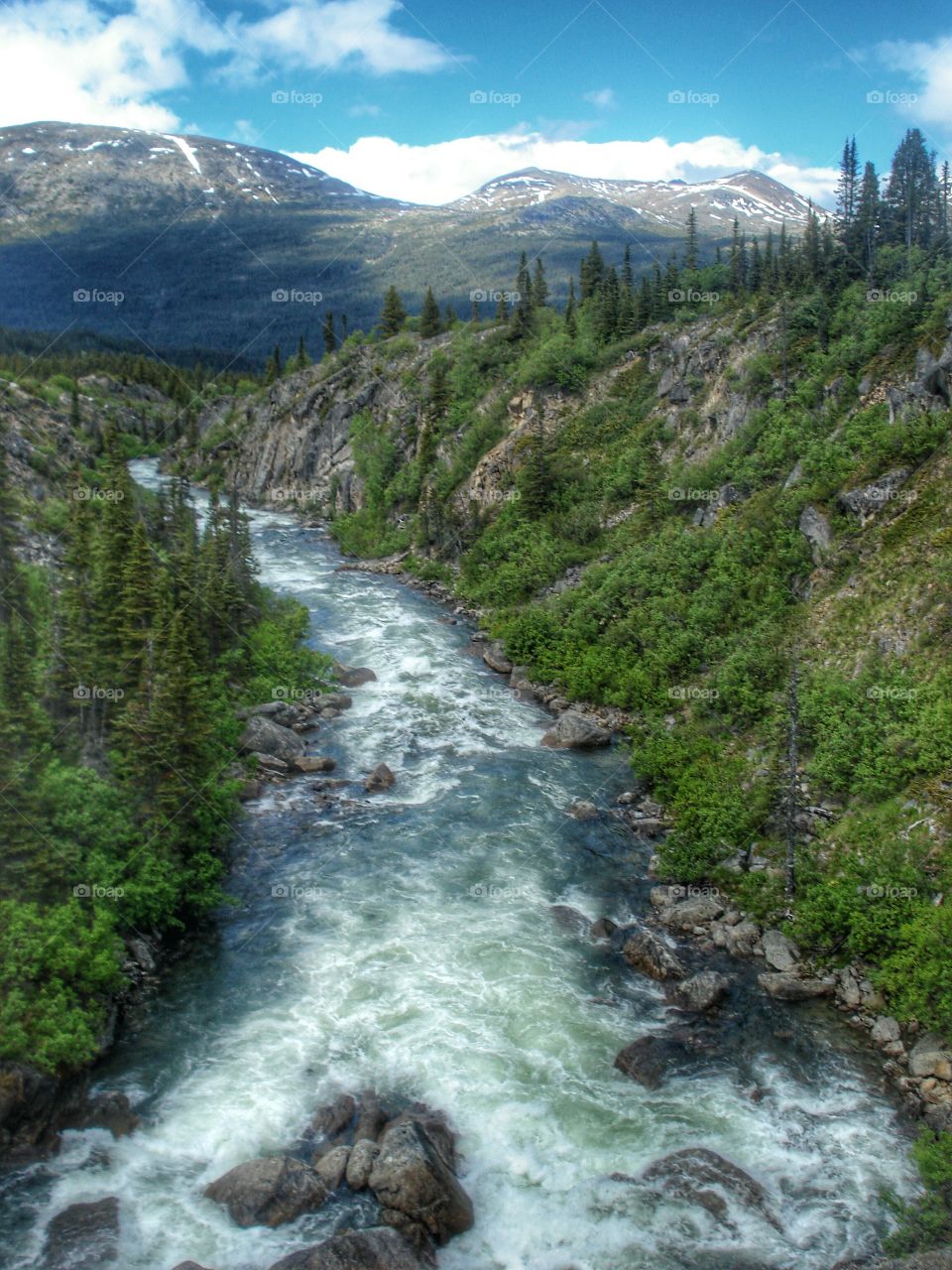 from a suspension bridge