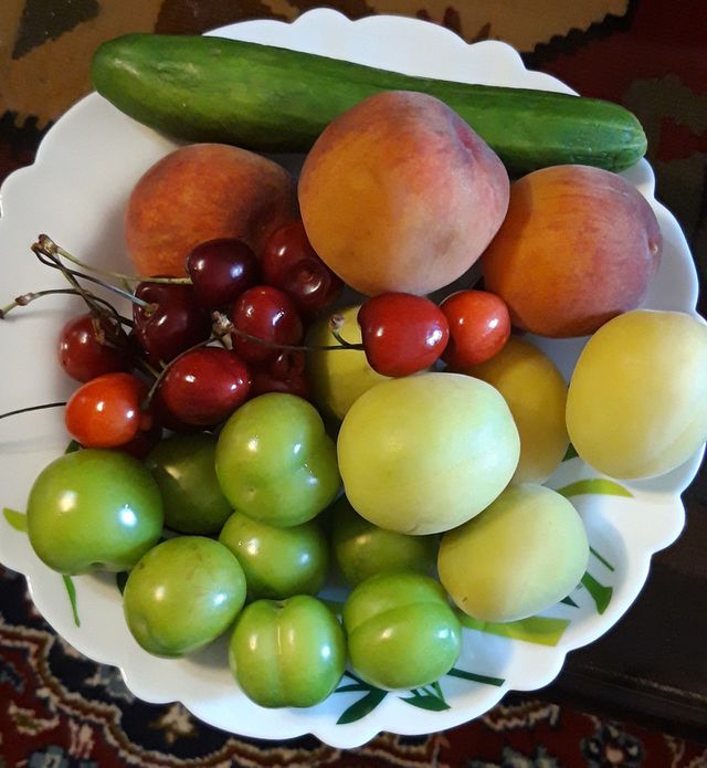 fruit