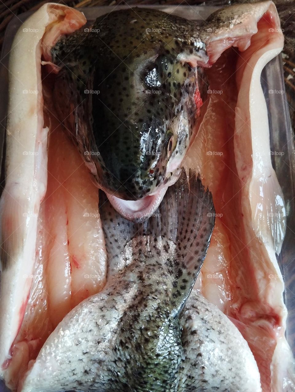 Once it was alive but  now it is ready to become a delicious meal for people who hunt it . It gathers family together and makes memorable time for them . 
HOW GENEROUS IS THE NATURE .