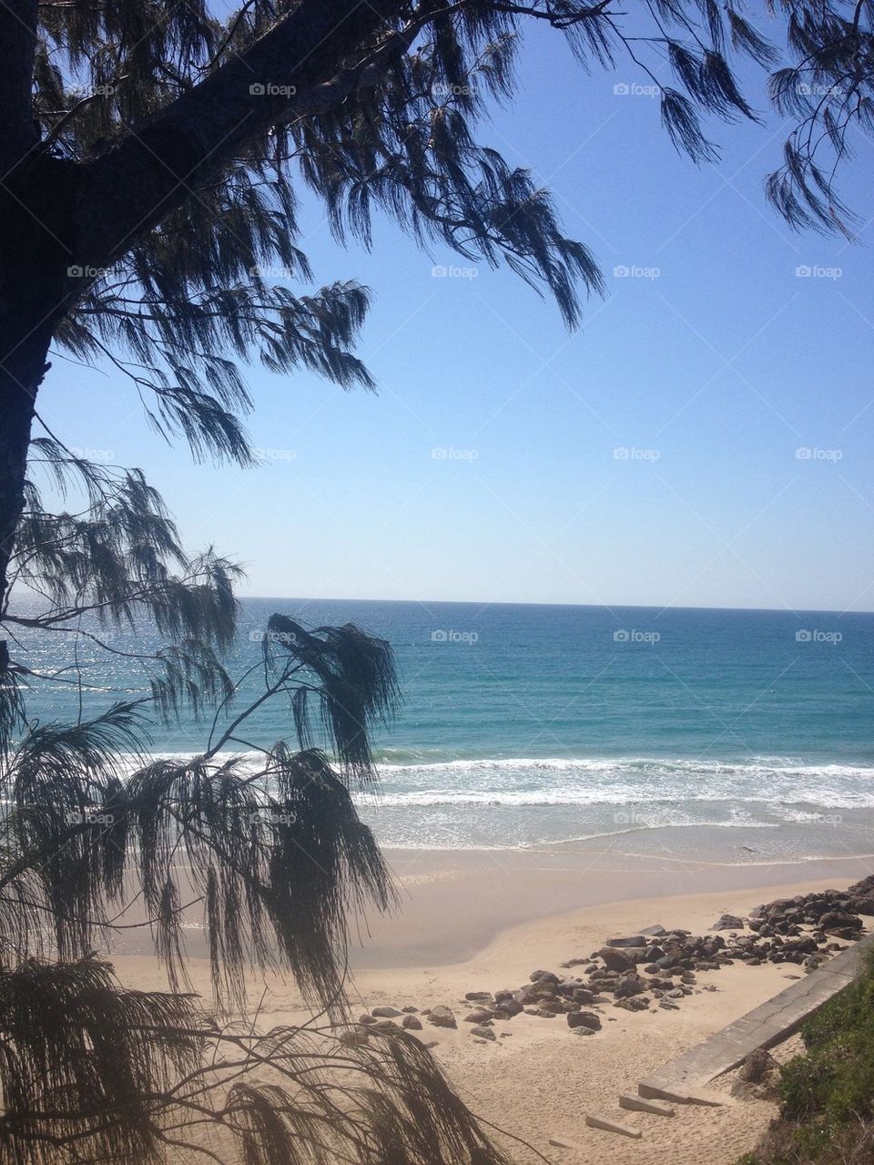 Beach through the trees