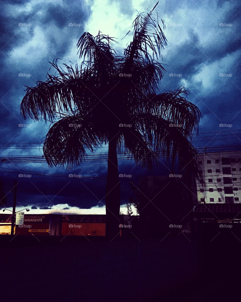 Uau! 
O tempo virou completamente. Sumiu o #céu azul e anoiteceu bem mais cedo, com #vento e #nuvens ameaçadoras.
🌩 
#fotografia #mobgrafia #natureza 