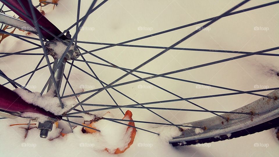 Bike Wheel in Snow