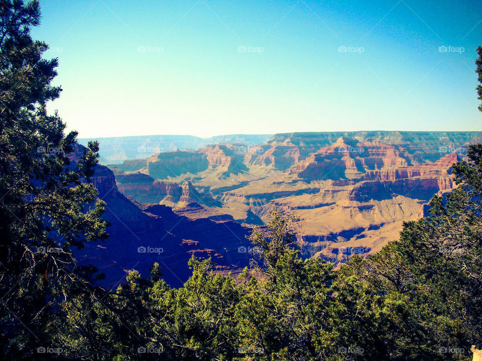 Grand Canyon National Park #8