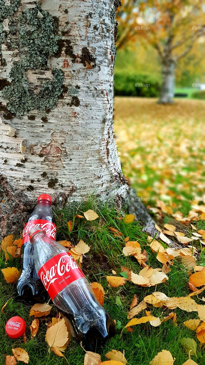 Coca-Cola in the autumn